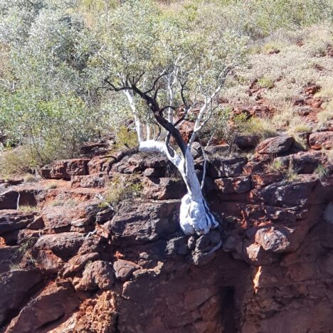 Karajini-Pardoo-Cape Keraudren-Hammersley Gorge