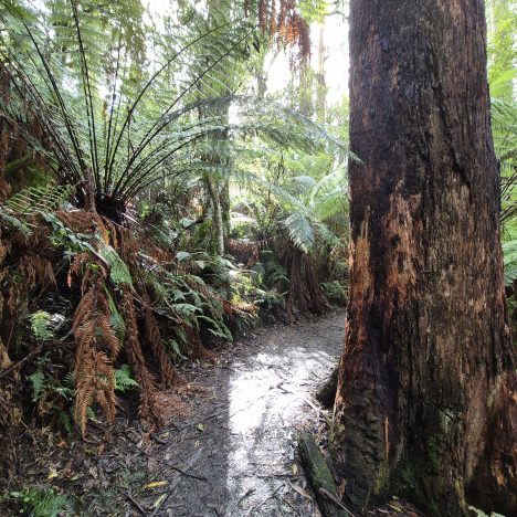 Gold Coast – Coffs Harbour – Karuan- Berrima – Canberra Aug 2024